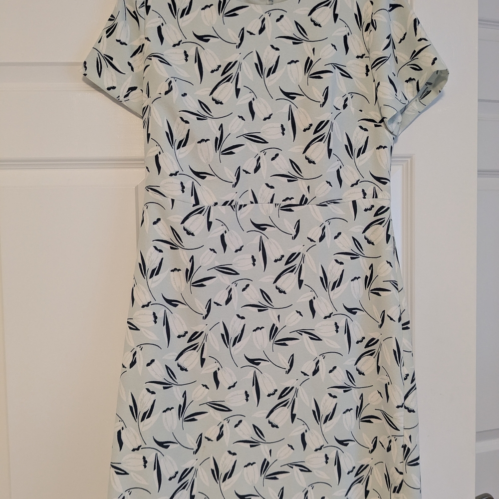 Taylor White and Cream Sheath Midi Dress with Raglan Sleeves